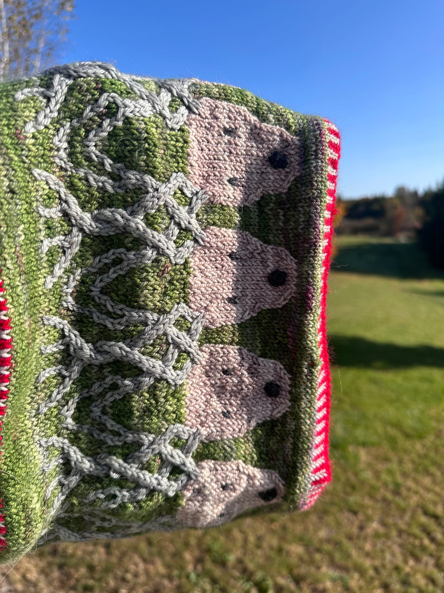 Reindeer Parade Cowl