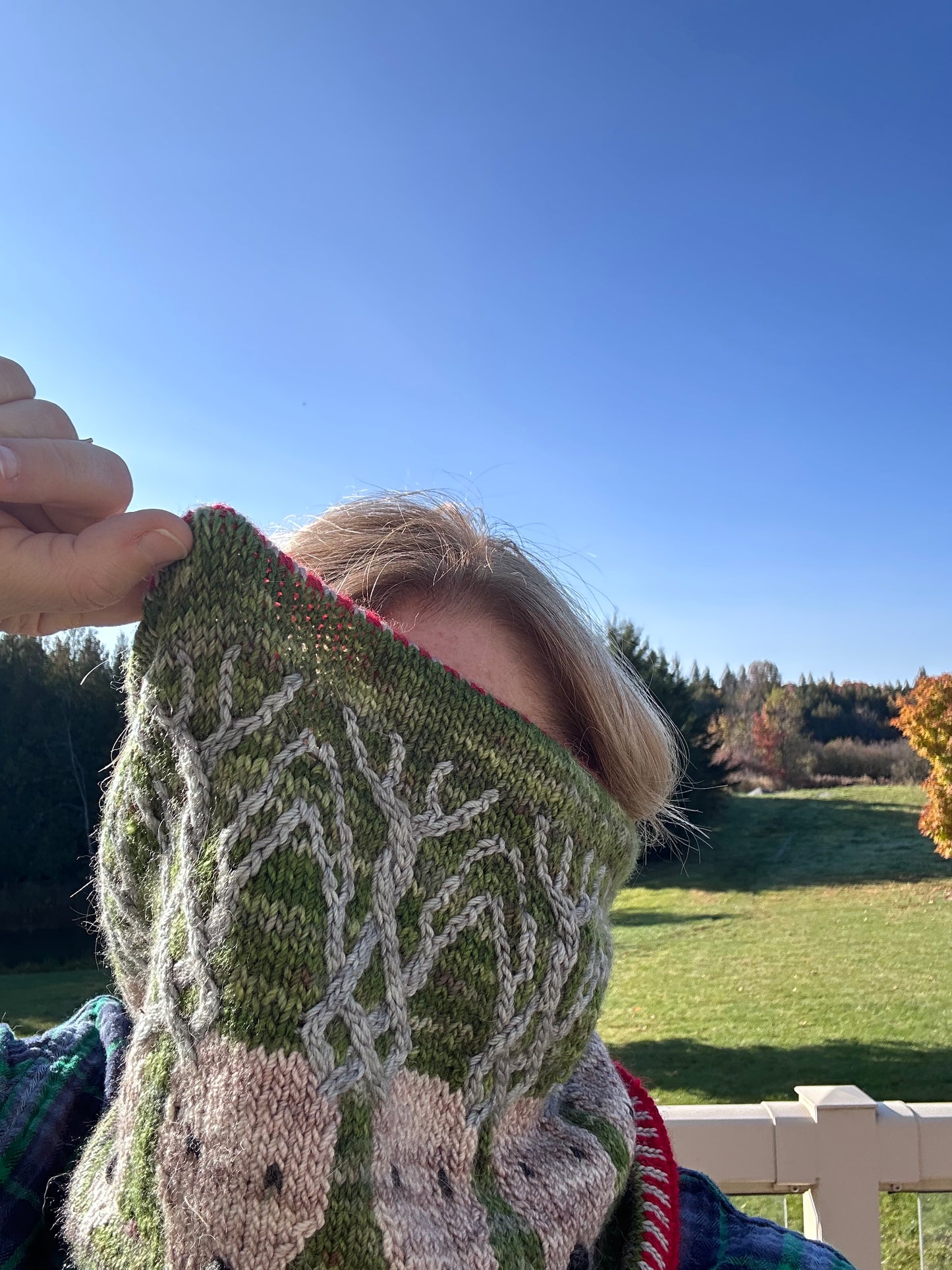 Reindeer Parade Cowl