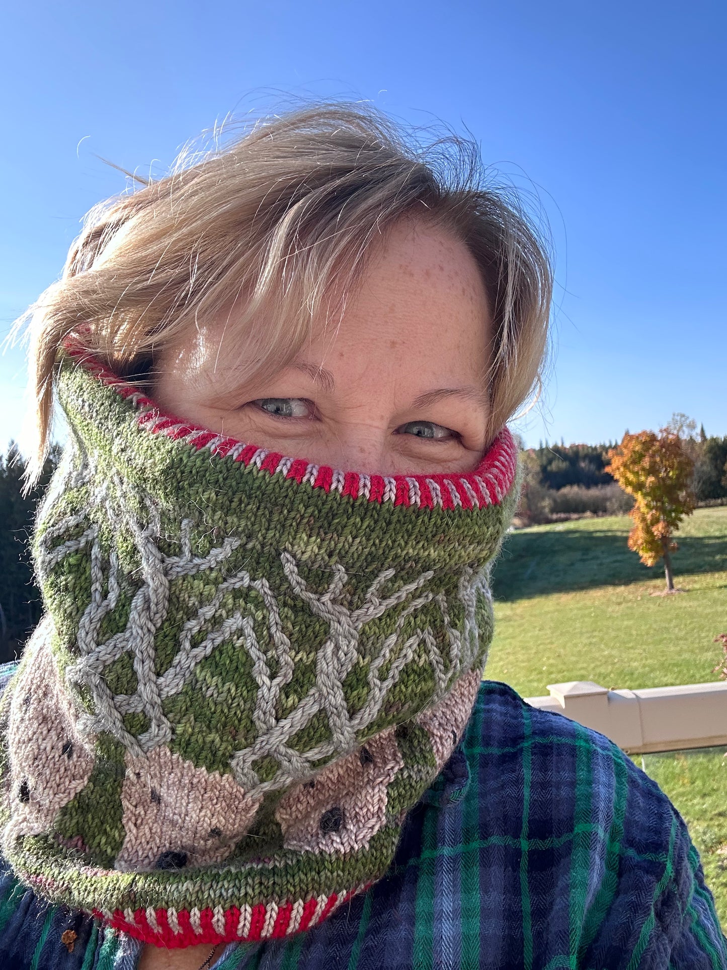 Reindeer Parade Cowl