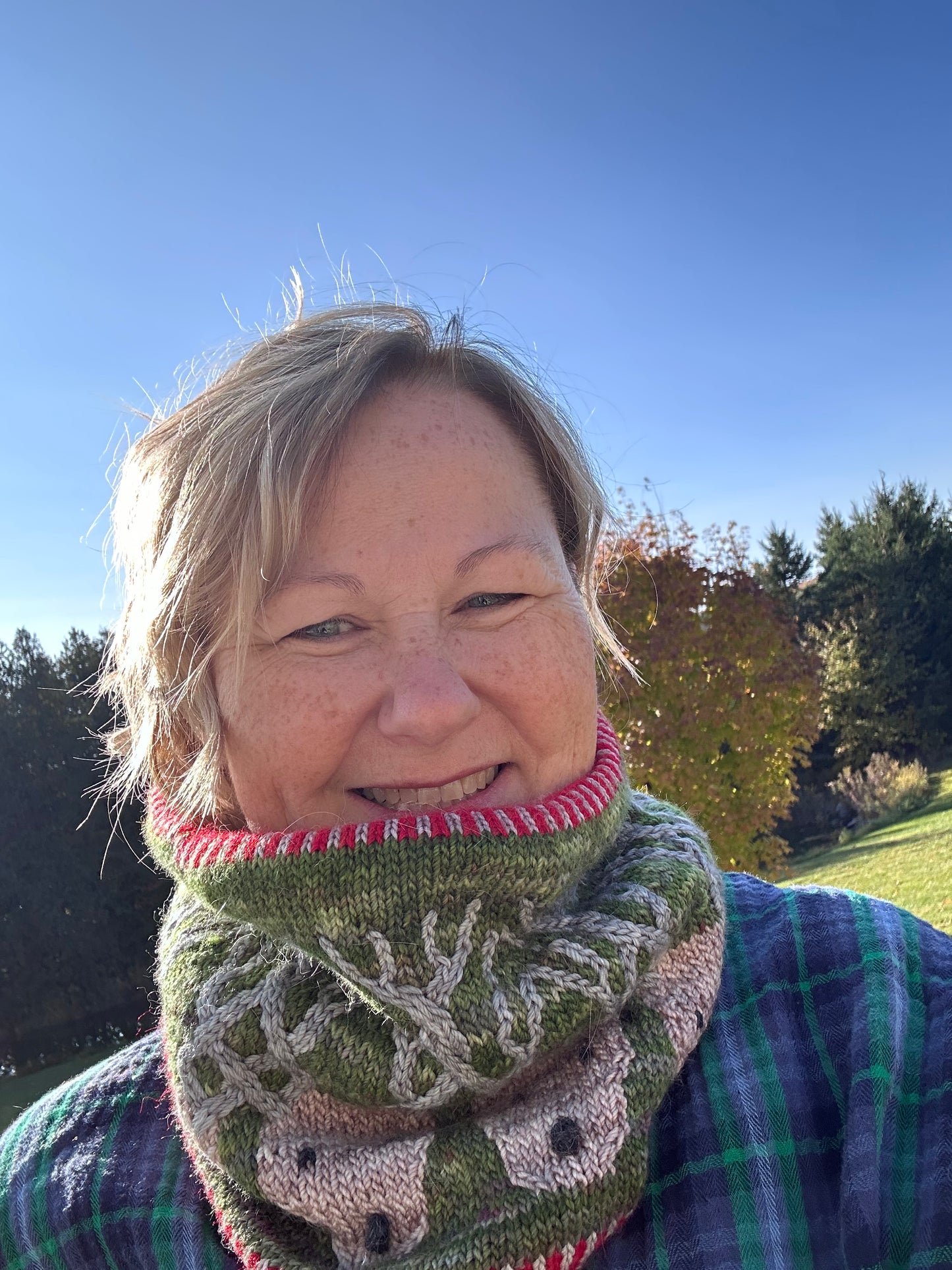 Reindeer Parade Cowl