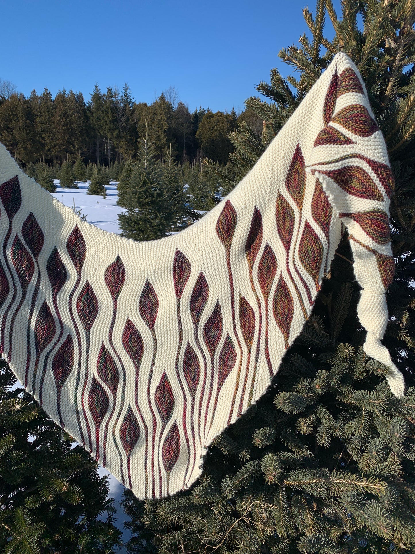 Aeria Shawl