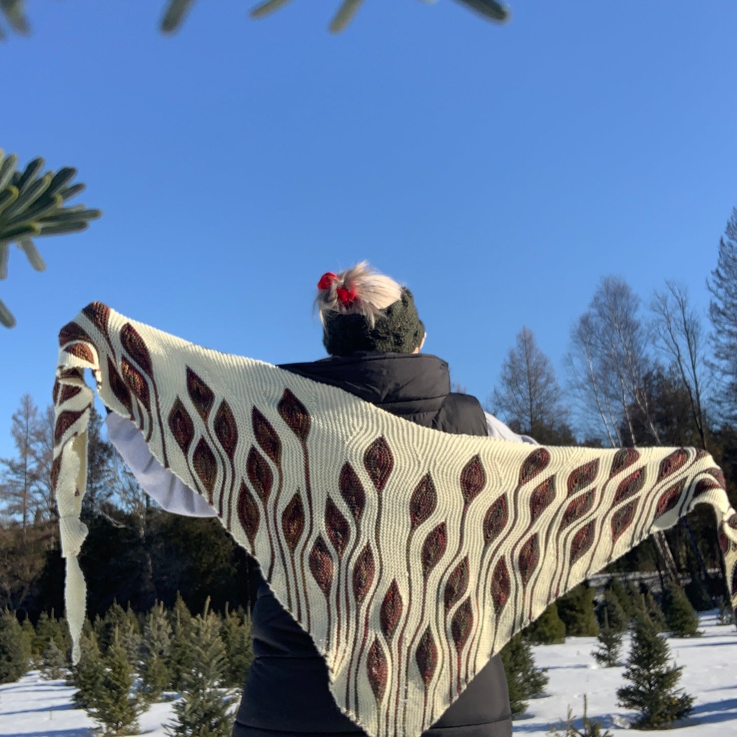 Aeria Shawl